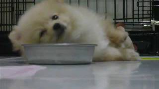 HOLY睡翻了.I'm full, just wanna sleep.