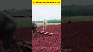 ছোট্ট ক্যাঙ্গারু কে কিভাবে বোকা বানাচ্ছে #shorts #viral #Kangaroo