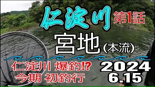 アユの友釣り 仁淀川(高知県) 本流 宮地 2024.6.15 第1話