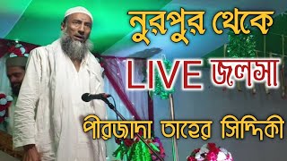 পীরজাদা তাহের সিদ্দিকী LIVE জলসা||নুরপুর||pirzada Tahir Siddiqui new Jalsa live