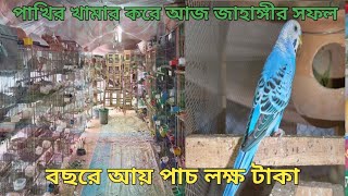 ইউটিউব দেখে তিন পাখি দিয়ে শুরু।বছরে ইনকাম পাচ লক্ষ টাকা।