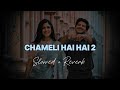 chameli hai hai 2 slowed u0026 reverb sambalpuri lofi song