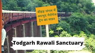 Eco-destination Rawali Todgarh Sanctuary I Rajsamand I Rajasthan Dudhaleshwar Temple I Train Safari