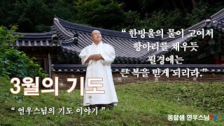 연우스님의 3월의 기도 이야기.........3월을 마무리 하며 올리는 기도