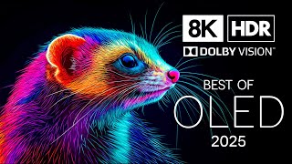 Best of Dream OLED in 8K HDR | Dolby Vision™