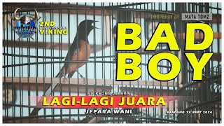 JUARA TERUS NI BURUNG | MURAI BADBOY MR KEONG JEPARA | ANIV VIKING ARENA