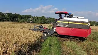 Yanmar AW 70 V Alat Panen Padi Modern dan Terbaik Buat Petani