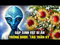 Ông Chủ Của Những Trái Táo Kỳ Lạ - Và Lần Chạm Trán Những Sinh Vật Bí Ẩn | Ngẫm Radio