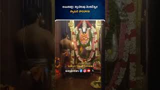 నల్లచెరువు వెంకటేశ్వర స్వామికి తొలిహారతి | East Godavari | Andhra Pradesh | Way2news Telugu