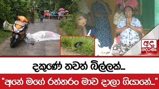 දකුණේ තවත් බිල්ලක්...(දික්වැල්ල ) - \