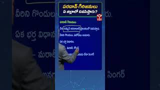 పరదాన్ గిరిజనులు ఏ జిల్లాలో నివసిస్తారు ? || T-SAT