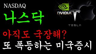 [ 미국증시 나스닥 ] 아직도 국장해? 비웃듯 또 폭등하는 미국 증시!! 이거 대박이다!!