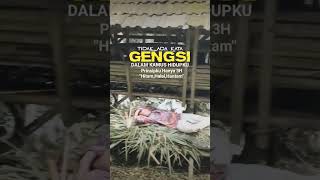 Bukan gelar bos muda tapi petani muda #trend #storywa #trending