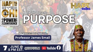 HAPI Talks: PURPOSE with Prof. James Small