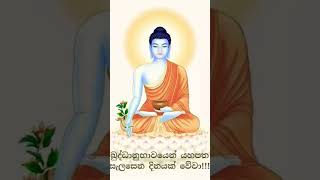 අනන්ත බුදුගුණ බලයෙන් යහපතම වේවා..🙏🙏🙏 #shortvideo