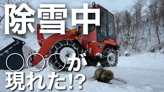 ホイールローダーで除雪していてもびくともしない○○○が！！キャンプ場のお仕事#6