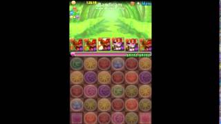 【パズドラ】木の蟲龍　超地獄級　「高速周回」（赤おでんパ）