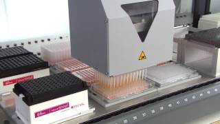 MCA 384 is pipetting into different plate formats