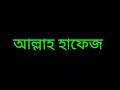 আনারসের রাজধানী মধুপুর আনারস বাগান ভ্রমণ ব্লগ। anarosh garden.