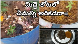 చీమలు నిమిషంలో పారిపోయే చిట్కా || How to control Ants in the Garden naturally || Homemade Pesticide