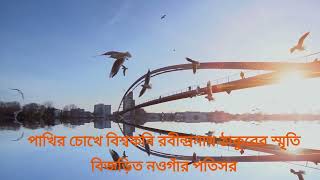 পাখির চোখে রবীন্দ্র স্মৃতি বিজড়িত নওগাঁর পতিসর।Beautiful patisar Rabindranath Drone View. My Vlogs.