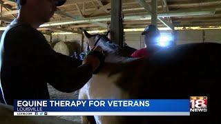 Equine Therapy For Veterans