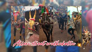 ALLERI|அல்லேரி| STREET SMALL COLLECTION OF ERUTHUKATTU