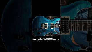 Paul Reed Smith(PRS) Custom24 10Top Blue Matteo [Wide Thin Neck] 2005 #prs #paulreedsmith