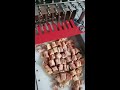 frozen meat cutter machine chicken cutting machine ribs cut machine beef meat cutting machine