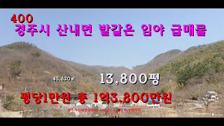 [번호400]경주시 산내면 밭같은 임야 평당1만원