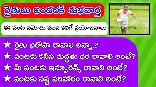 రైతులు అందరికీ శుభవార్త || ఈ పంట నమోదు చేస్తేనే వచ్చే లాభాలు || రైతు భరోసా,పంట ఇన్సూరెన్స్ వస్తాయి.