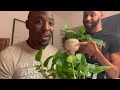 Our 1st Video! Plant Life! Dating!