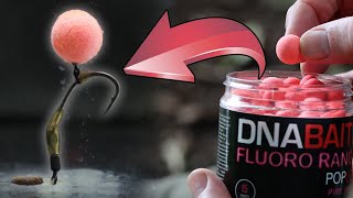 THE ULTIMATE CARP RIG? THE RONNIE RIG – WHEN AND WHY! DNA BAITS | CARP FISHING | CARP RIGS