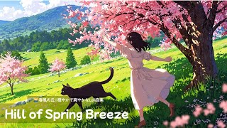 🌿🌅 春風の丘 | 穏やかで爽やかなLofi音楽 | Hill of Spring Breeze 🎵