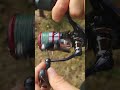 ninja lt 2500 daiwa spining reel fishing video