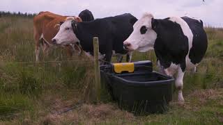 HEN HARRIER PROJECT GRAZING INFRASTRUCTURE.