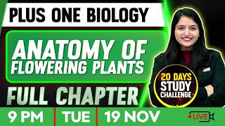 Plus One Biology | Anatomy Of Flowering Plants | Full Chapter | Exam Winner Plus One