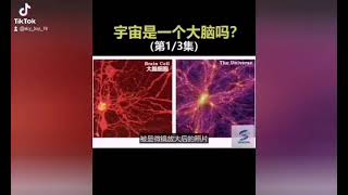 宇宙与人類大腦到底有多麼相似？