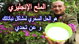 لن تصدق فوائد الملح الانجليزي للنباتات و الأشجار