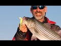 How to Rig a BKD Lure and Choose Colors