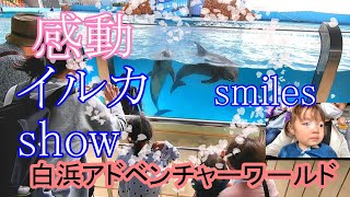 【Vlog】【初めて】イルカショー【感動】白浜アドベンチャーワールド【パンダの赤ちゃん】【楓浜】【1歳11か月】