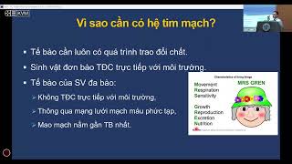 Giải phẫu và sinh lý tim mạch định hướng lâm sàng (Phần 1)