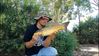 koi/carp fishing in the local pond 🤙