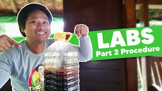 [PART 2] How to Make Lactic Acid Bacteria + FAQs! | The Agrillenial