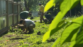 Community Conservation: Honeysuckle Hack