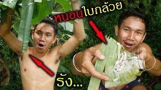 |วิถีชีวิต| ล่าสัตว์ \