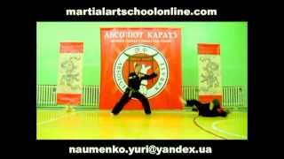 空手 ABSOLUTE KARATE- Absolutely Ultimate Fighting\