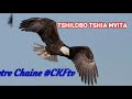 Tshilobo Tshia Nvita #CKFtv