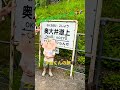 【まるでジブリな絶景✨】日本唯一のアプト式列車に乗って🚃奥大井湖上駅へ🌈子鉄旅