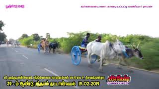 பூஞ்சிட்டு தட்டான்வயல் 19-02-2019 thattanvayal poonsittu